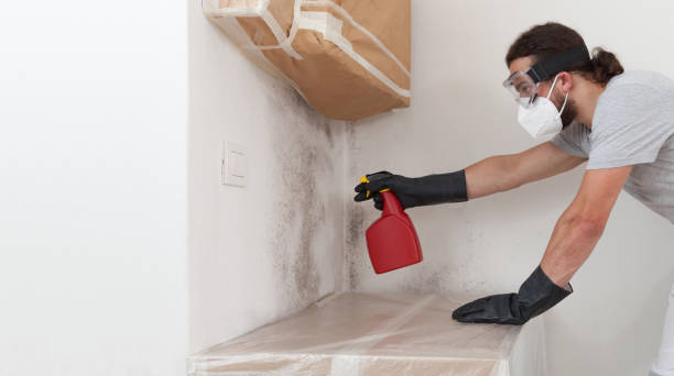 Professional Bathroom Mold Removal technician working in Wauconda, IL