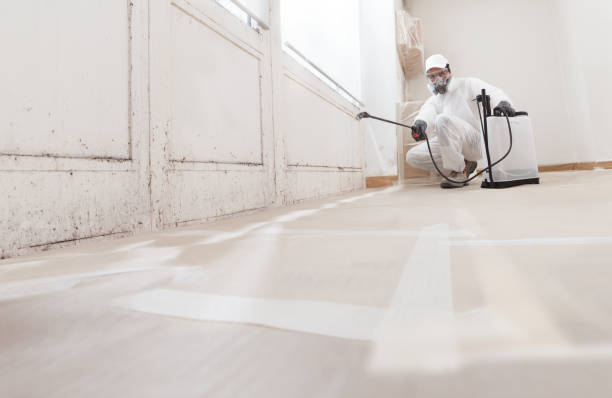 24/7 Emergency Bathroom Mold Removal experts in Wauconda, IL