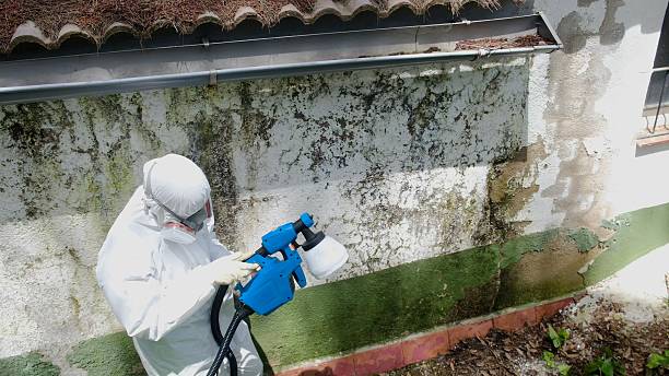 Top rated local Bathroom Mold Removal specialists in Wauconda, IL